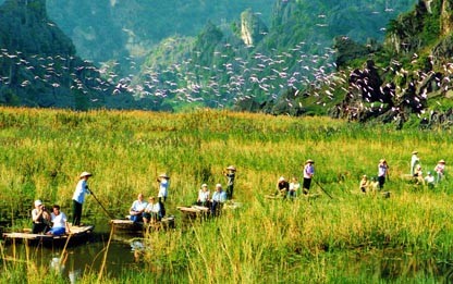 Hỗ trợ du lịch Việt Nam phát triển theo hướng bền vững - ảnh 1